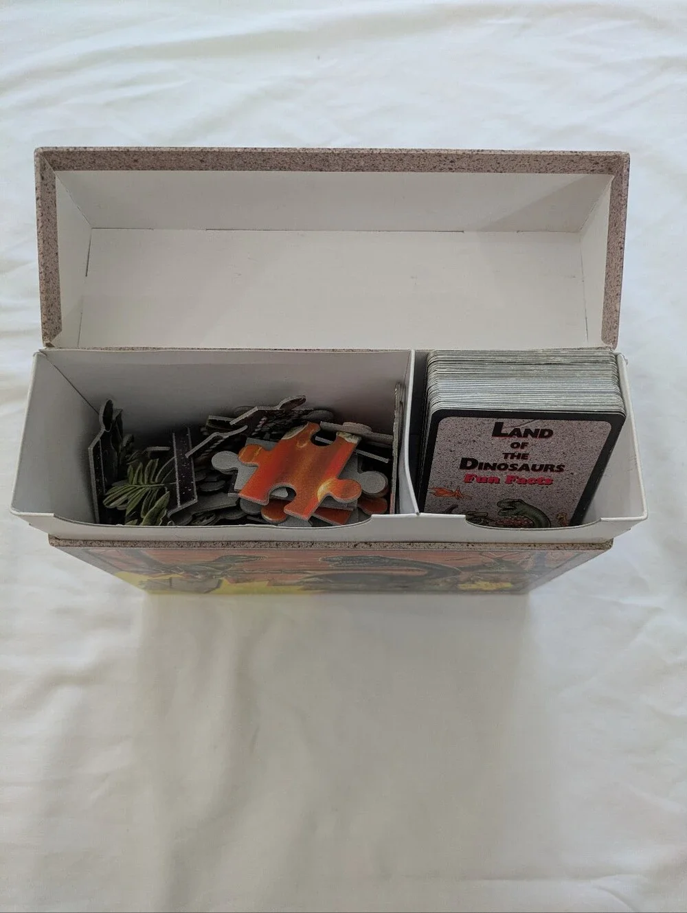Land Of The Dinosaurs Jigsaw Puzzle + Fun Fact Cards